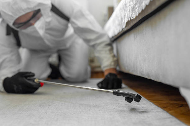 Professional Termite Control technician working in Oliver, PA