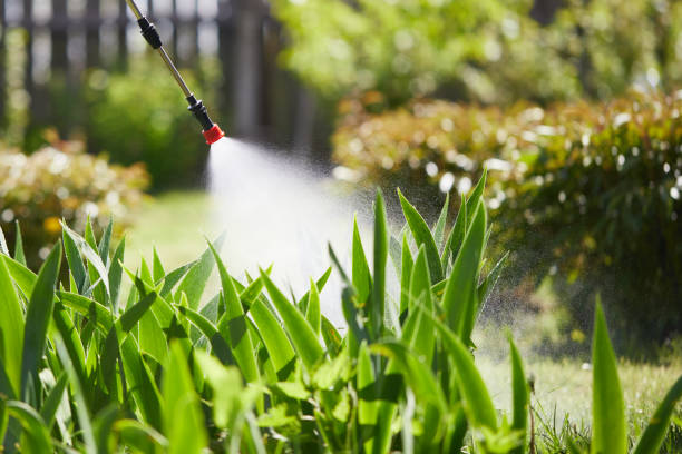 24/7 Emergency Termite Control experts in Oliver, PA